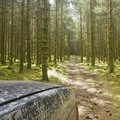 foret du limousin en 4x4 land rover équipé raid aventure, off road 4x4 suv Baroud Land